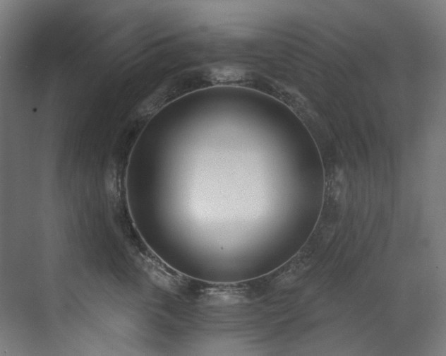 X0000072930763200607211127