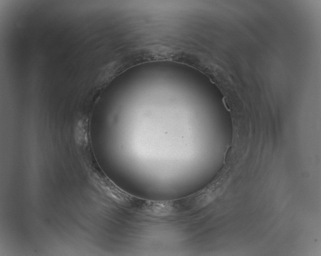 X0000072930768200607211127