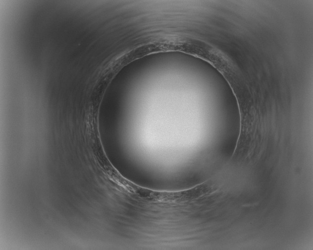 X0000072930773200607211126