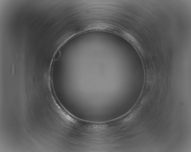 X0000072930802200607211126
