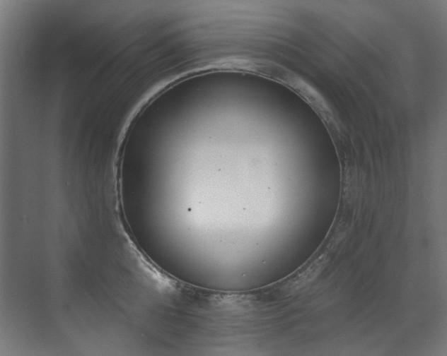 X0000072930808200607211125