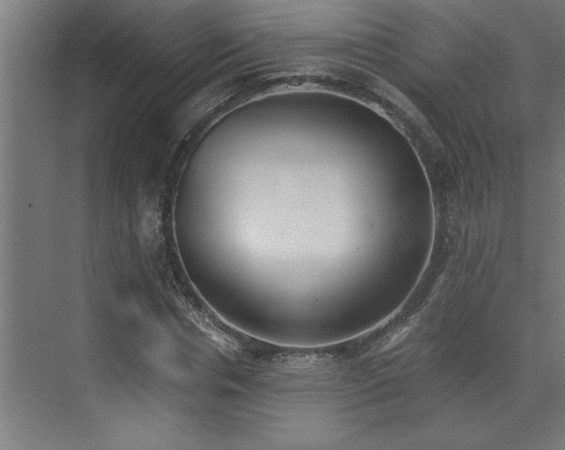 X0000072930826200607211125