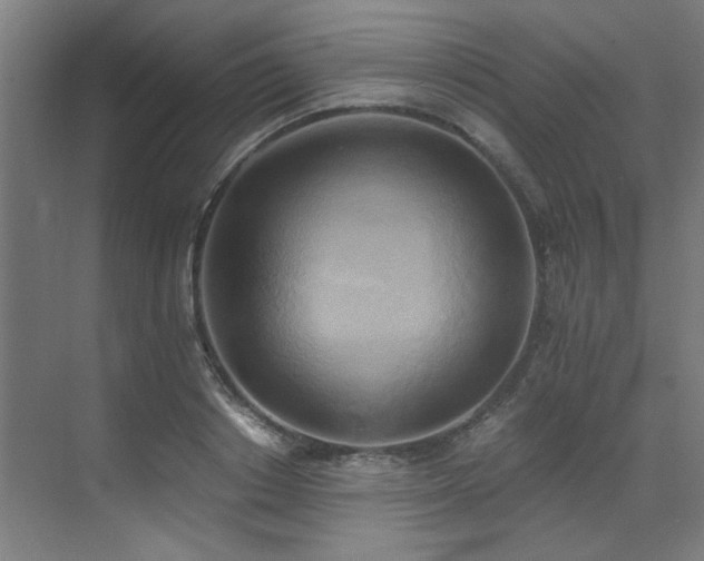 X0000072930842200607211125