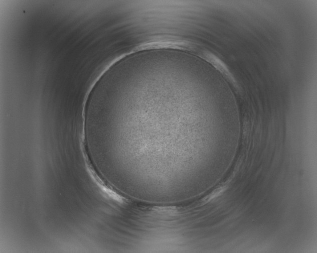 X0000072930844200607211125