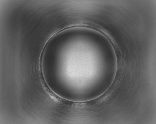 X0000072930858200607211125