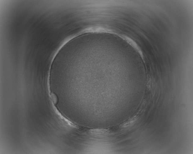 X0000072930863200607211125