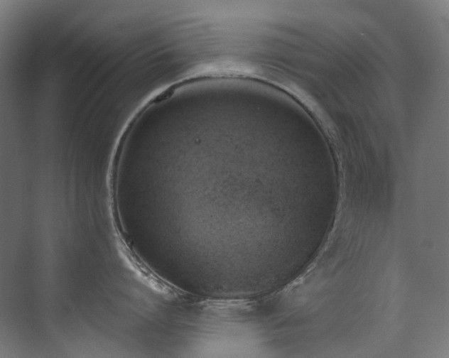 X0000072930864200607211125