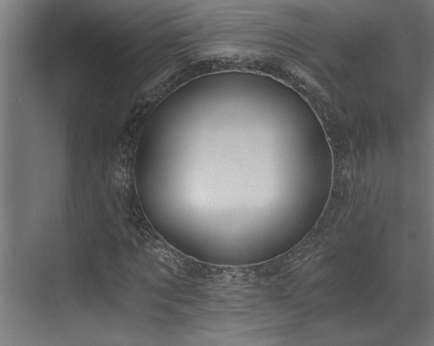 X0000072930869200607211124