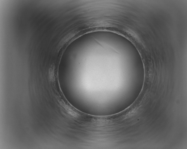 X0000072930873200607211124