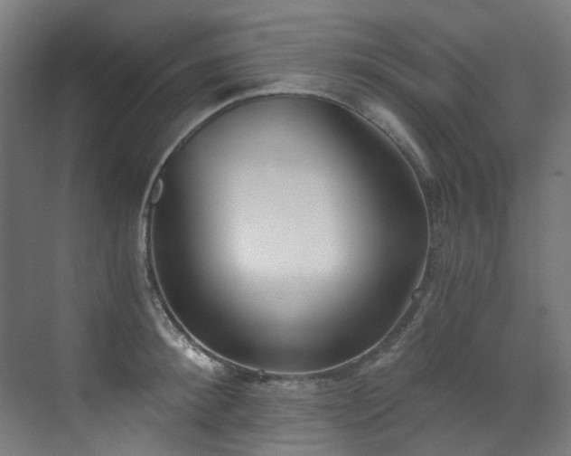 X0000072930900200607211124