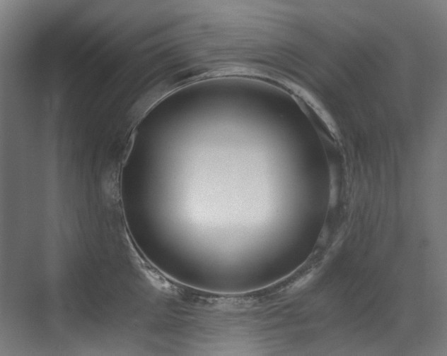 X0000072930905200607211124