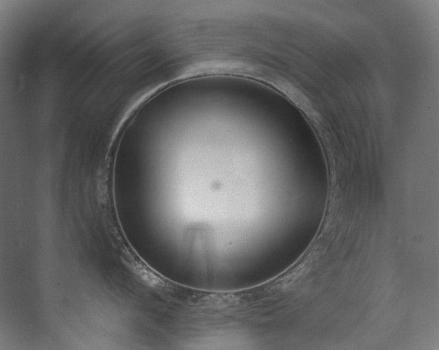 X0000072930912200607211124