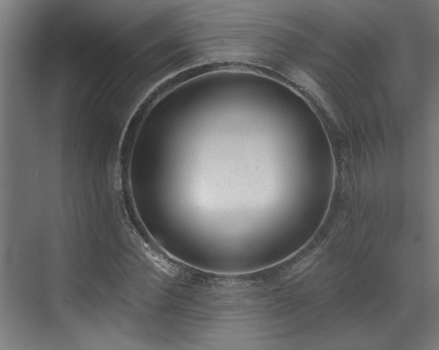 X0000072930924200607211123