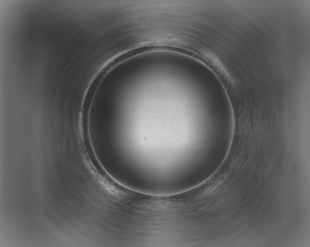 X0000072930932200607211123