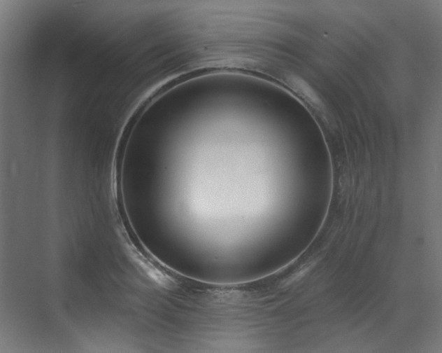 X0000072930940200607211123