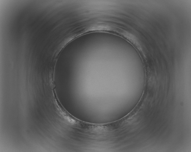 X0000072930945200607211123