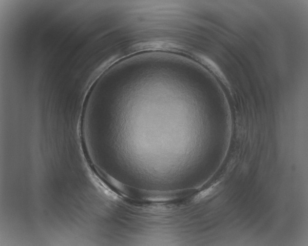 X0000072930946200607211123