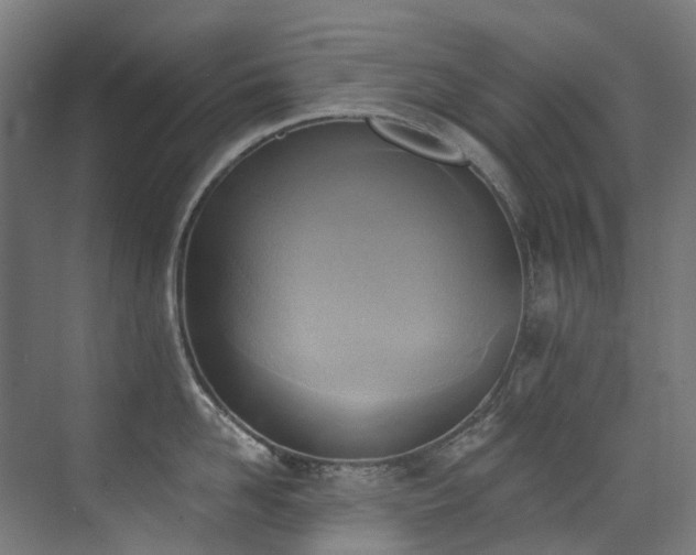 X0000072930958200607211124