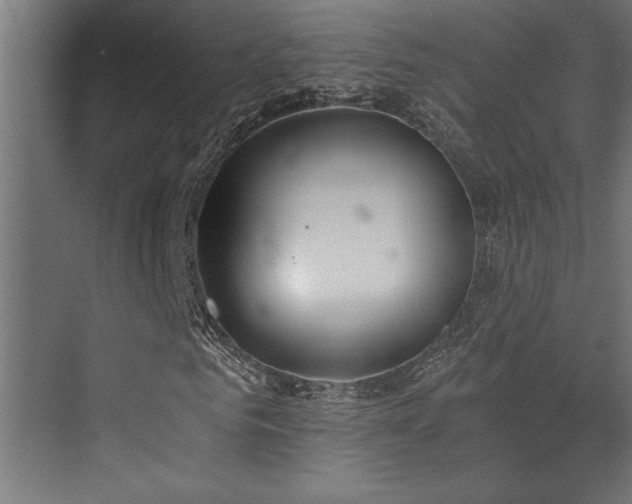 X0000072930961200607211123
