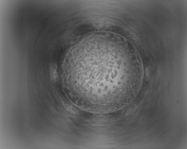 X0000072930963200607211123