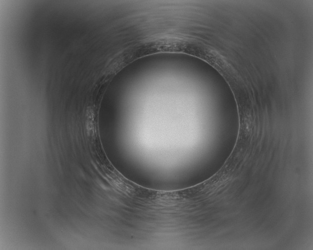 X0000072930964200607211123