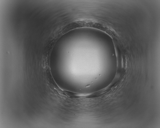 X0000072930965200607211123