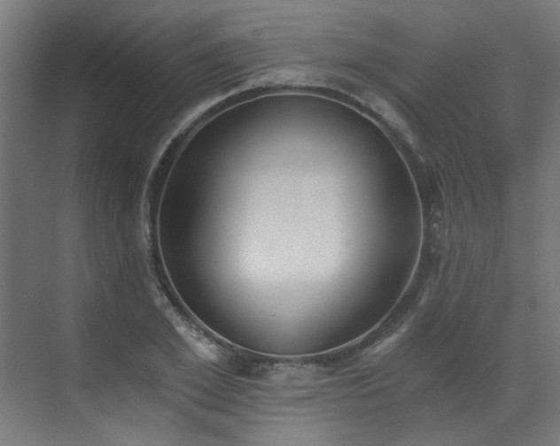 X0000072930981200607211123