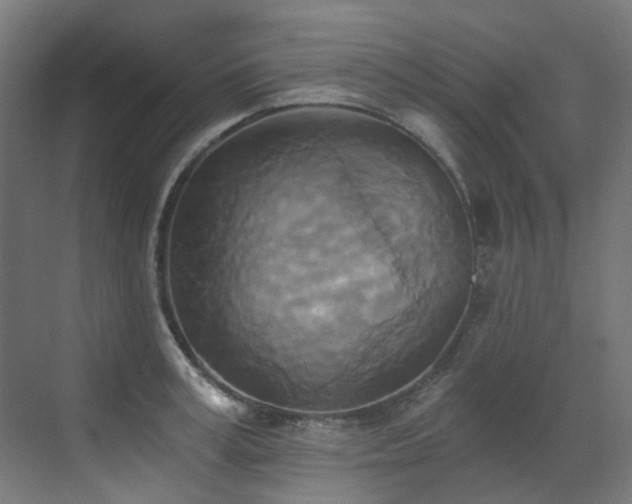 X0000072930995200607211122