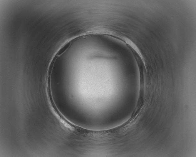 X0000072931005200607211122