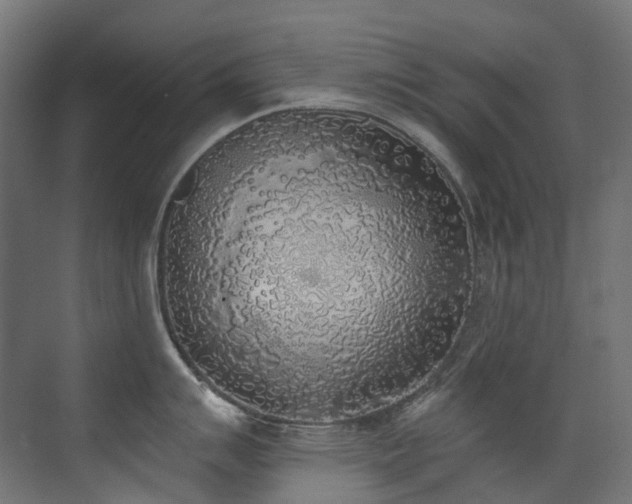 X0000072931007200607211122