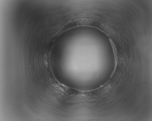 X0000072931010200607211121