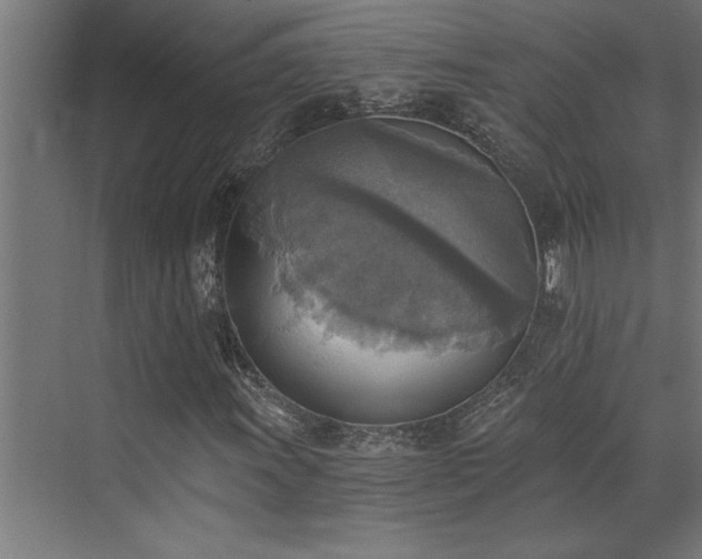 X0000072931011200607211121