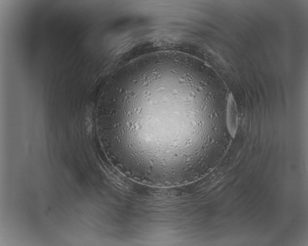 X0000072931012200607211121