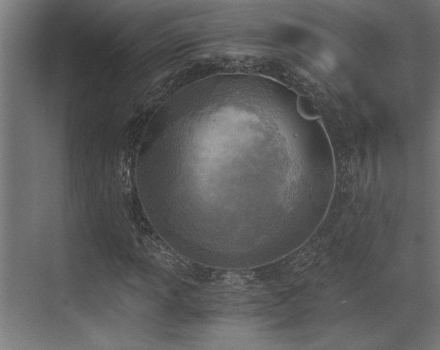 X0000072931013200607211121
