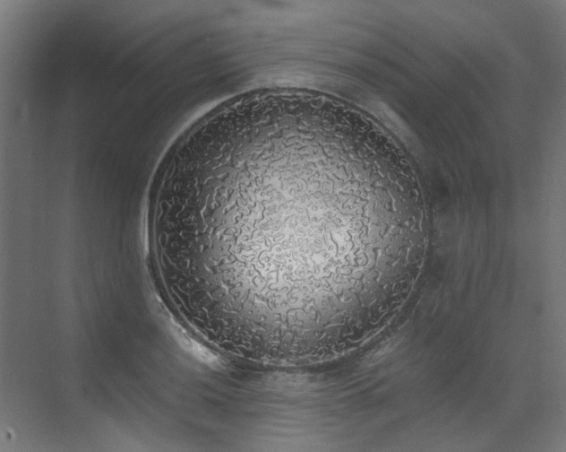 X0000072931036200607211122