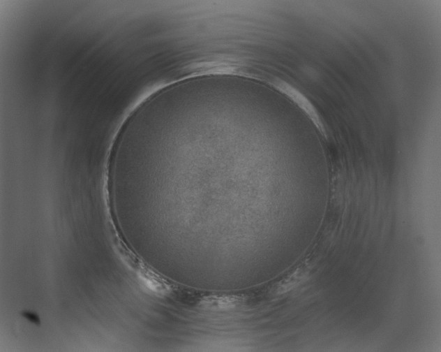 X0000072931051200607211122