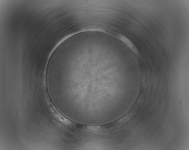X0000072931052200607211122