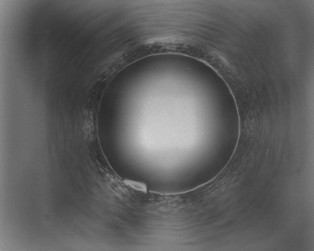 X0000072931062200607211121