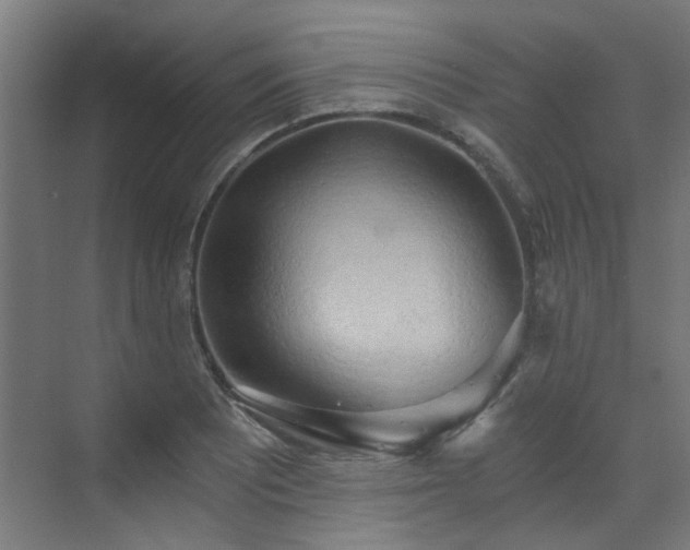 X0000072931081200607211121