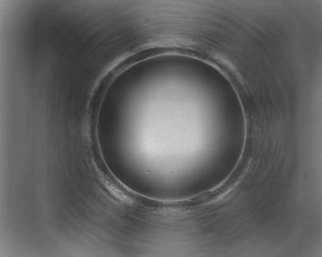 X0000072931114200607211120