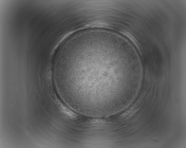 X0000072931115200607211120