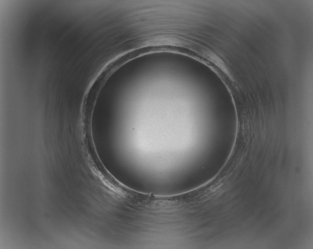 X0000072931116200607211120