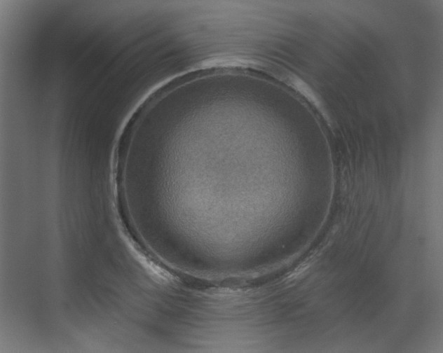 X0000072931124200607211120