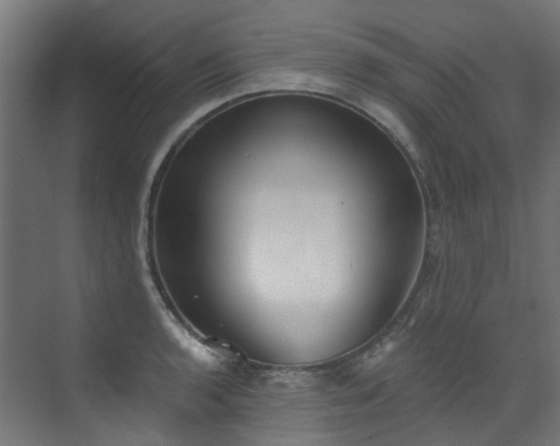 X0000072931136200607211120