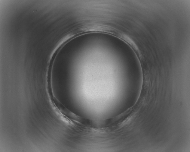 X0000072931138200607211120