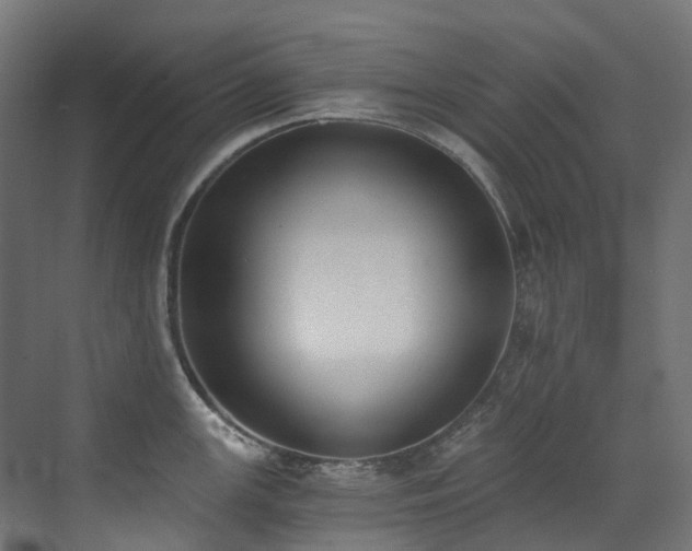 X0000072931147200607211120
