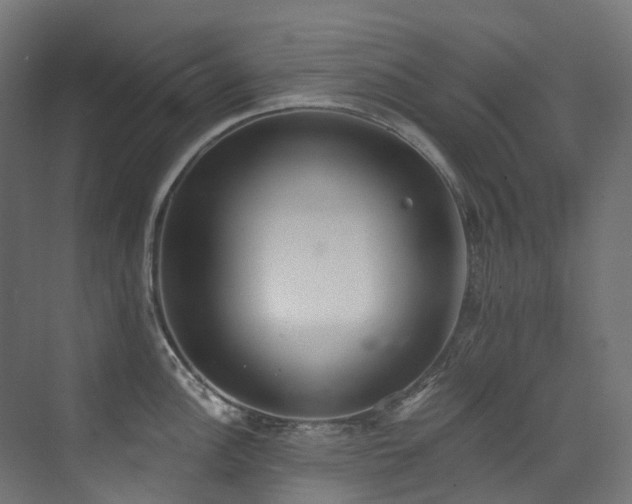 X0000072931148200607211120