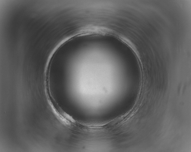 X0000072931152200607211120