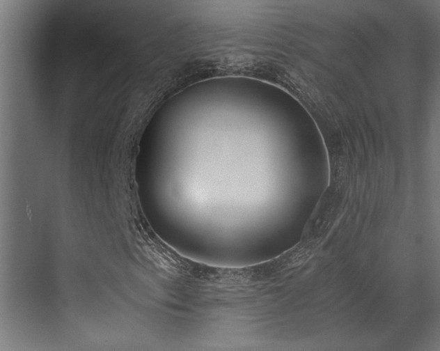 X0000072931153200607211120