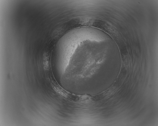 X0000072931154200607211120
